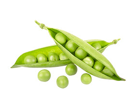 Pea Protein