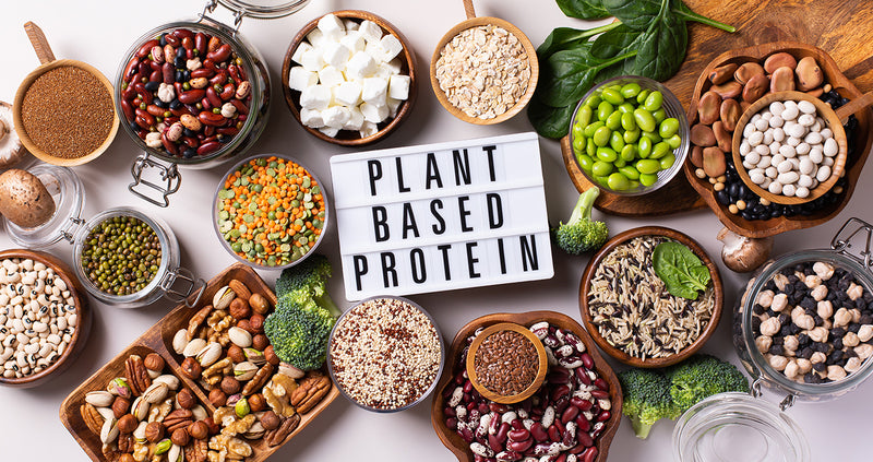Fuel Your Body with These 12 Powerhouse Vegetarian Protein Sources for Women